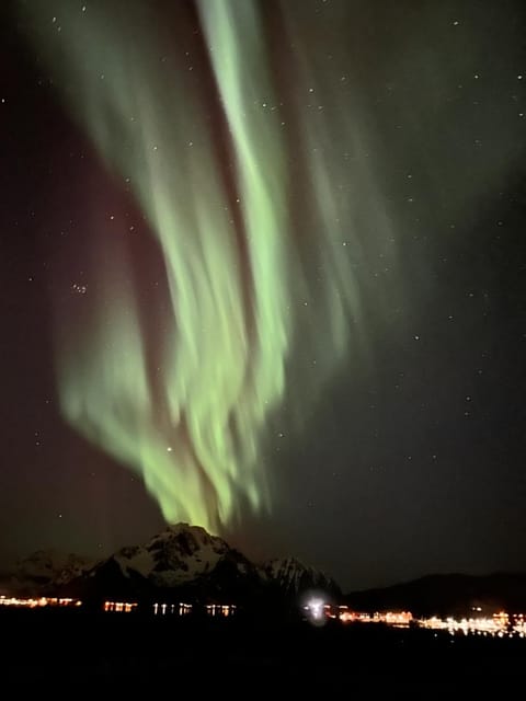Natural landscape, Winter