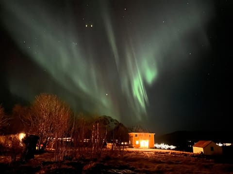 Night, Natural landscape, Winter