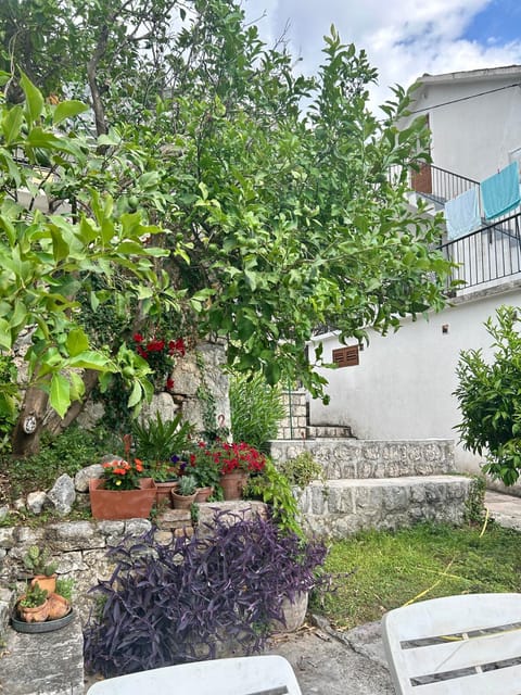 Mansarda apartment Apartment in Dobrota