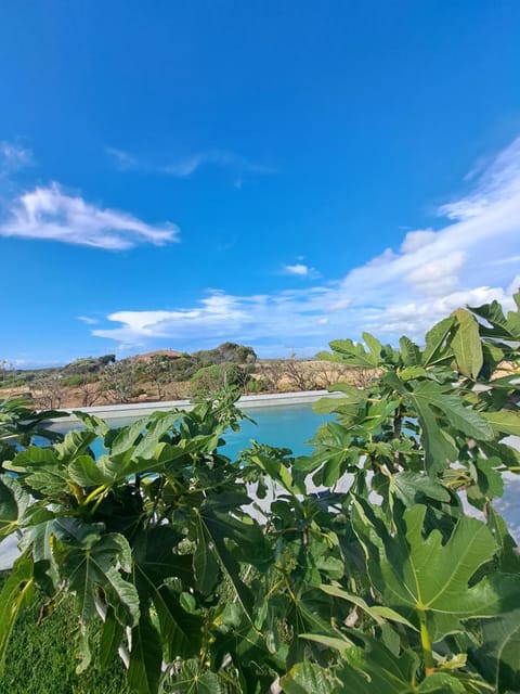 Agriturismo Lu Nodu Farm Stay in Sardinia