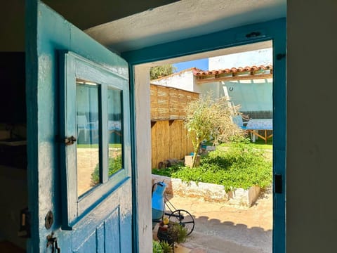 Patio, Spring, Garden, Garden view