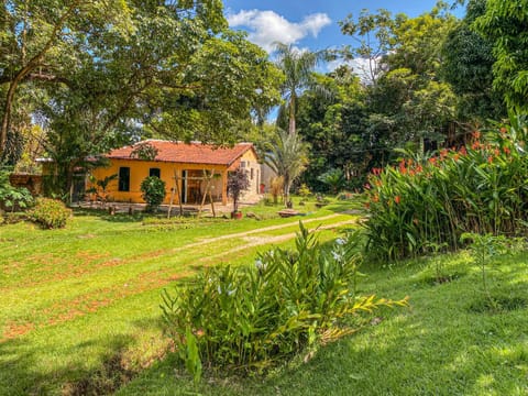 Natural landscape, Garden, Garden view