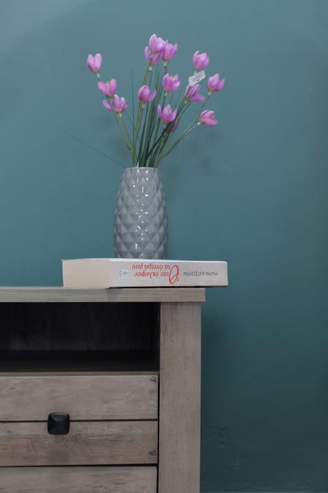 Mouzakitis Apartments 4 Apartment in Corfu, Greece