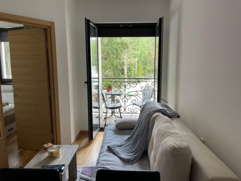 Balcony/Terrace, Living room