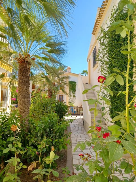 Garden, Windsurfing, Garden view