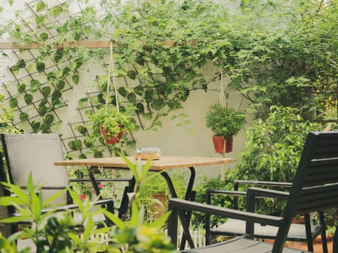 Olga's Cozy home Apartment in Islands