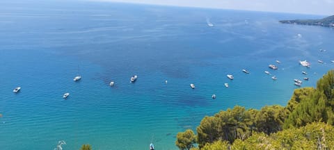 Natural landscape, Sea view