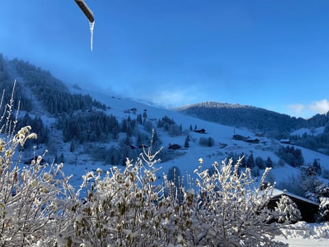 Winter, Mountain view