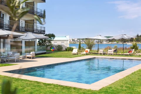 Garden, Swimming pool