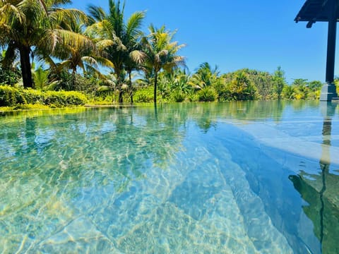Garden, Garden view, Pool view, Swimming pool