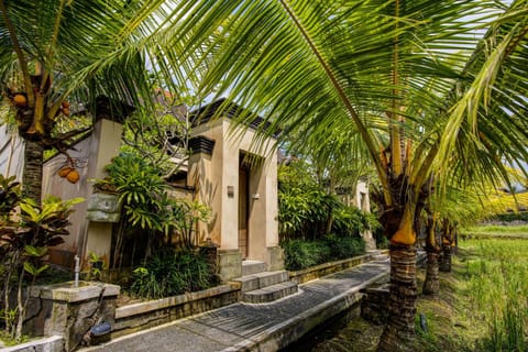 Day, Natural landscape