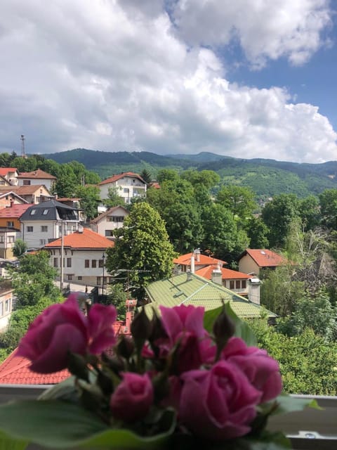 Natural landscape, City view, Mountain view