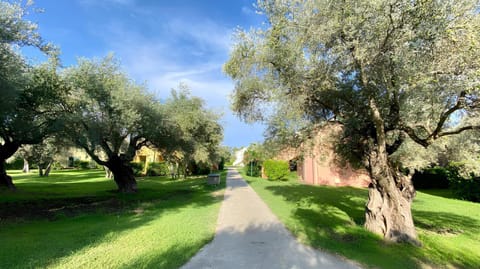 Natural landscape