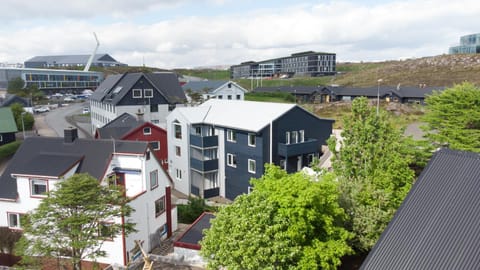 Neighbourhood, Bird's eye view