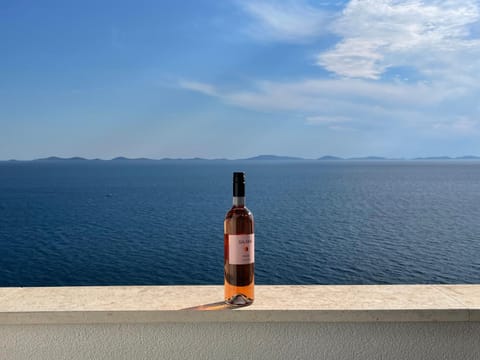 Pearl of Kornati Apartment in Murter