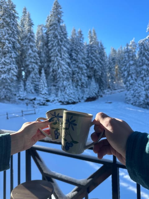 Day, People, Natural landscape, Winter, Food and drinks, Mountain view, Drinks, group of guests