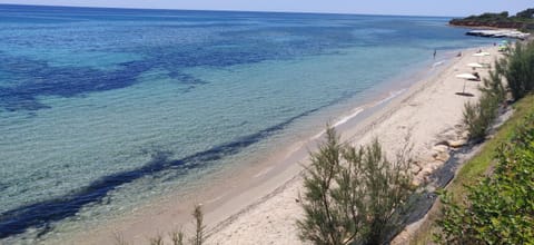 Nearby landmark, Beach
