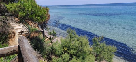 Nearby landmark, Beach