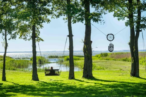 Natural landscape, Garden, Lake view