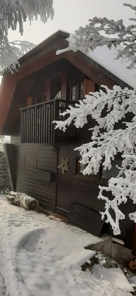 Property building, Day, Winter