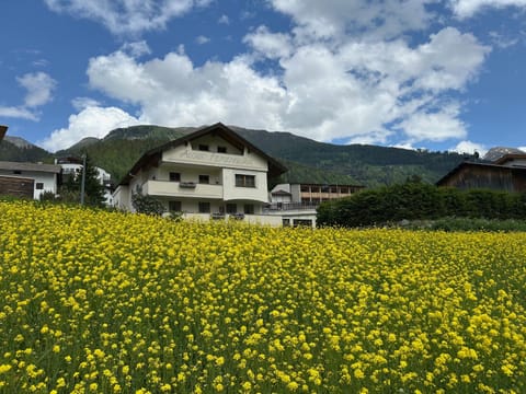 Property building, Spring