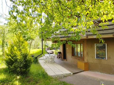 Le Nid du Chat Noir - Gîte La Maison Alvéole Apartment in Haute-Savoie