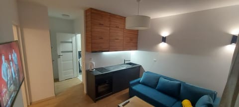 TV and multimedia, Kitchen or kitchenette, Living room, Seating area