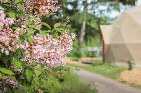 Domaine du Heidenkopf Campground/ 
RV Resort in Baden-Württemberg