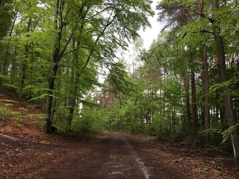 Holenderka Artur House in Pomeranian Voivodeship