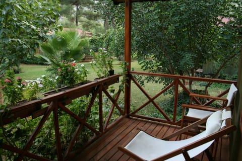 Balcony/Terrace, Garden view, Internal: Not applicable to any particular room