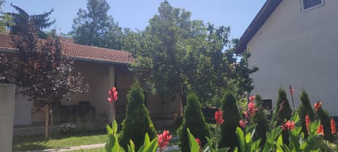 Property building, Garden view