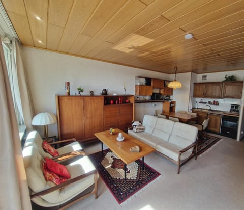 Kitchen or kitchenette, Living room, Seating area, Dining area, oven, stove