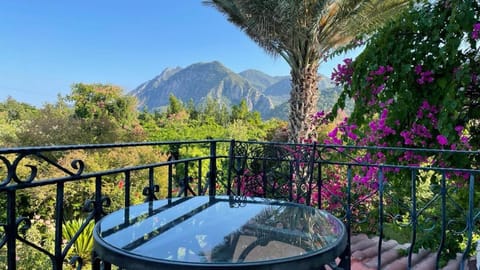 Balcony/Terrace, Mountain view