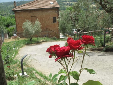 Violella Apartment Apartment in Chiusi