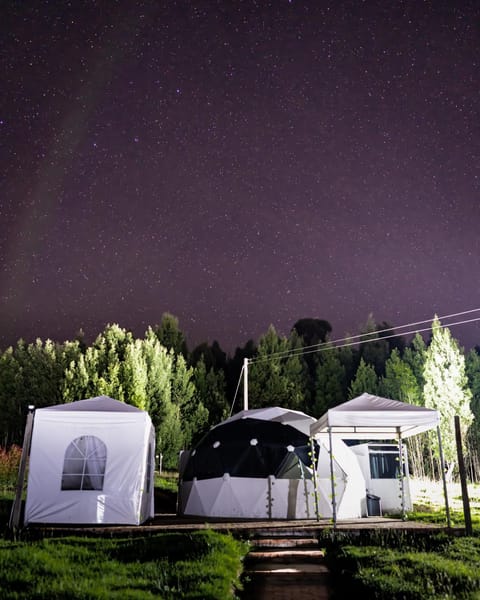 Property building, Off site, Night, Natural landscape