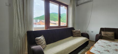 Lovely 1 bedroom within walking distance, views Apartment in Montenegro