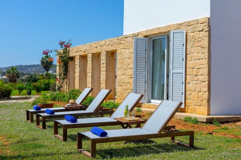 Patio, Garden, Garden view