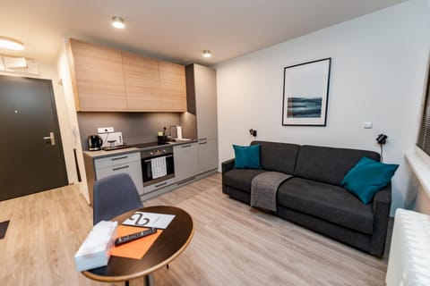 Kitchen or kitchenette, Living room, Seating area, oven, stove