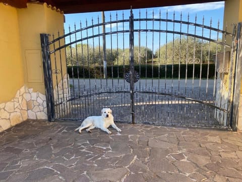 Villa Pedrosu Farm Stay in Sardinia