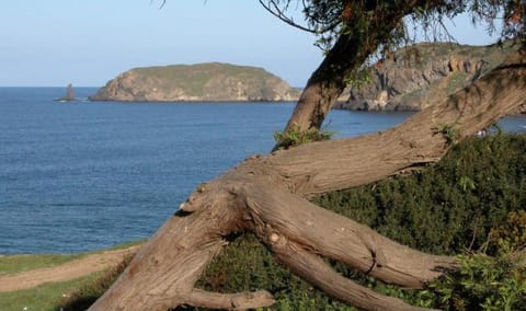 Appartamento in casa con cortili ad Arbus - Sardegna House in Sardinia