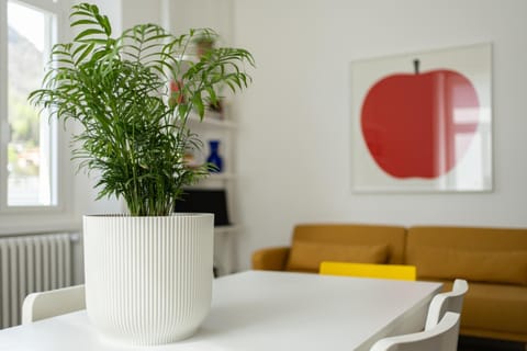 Decorative detail, Internal: Not applicable to any particular room