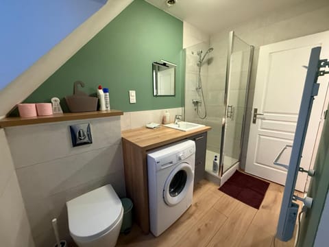 Toilet, towels, washing machine