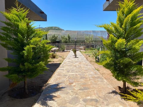 Garden, Garden view