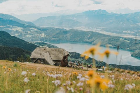 Lake view