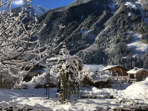 Natural landscape, Garden