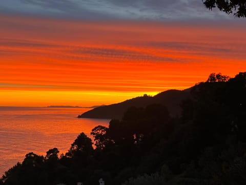 VILLA 650, Vue Mer magnifique, entièrement rénovée avec piscine Villa in Cavalaire-sur-Mer