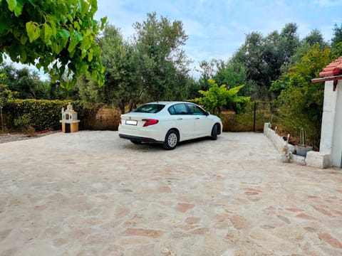 Antheia House in Messenia