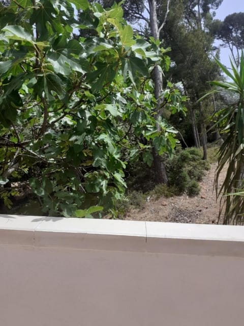 Les cigales Villa in Hyères