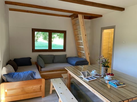 Living room, Seating area, Dining area