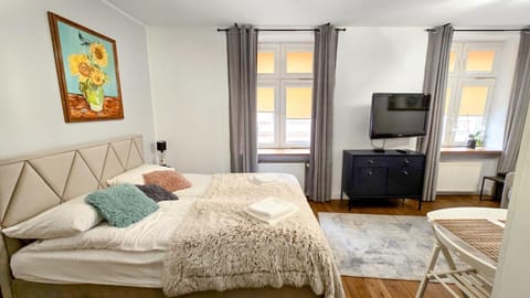Communal lounge/ TV room, Bed, TV and multimedia, Living room, Photo of the whole room, Seating area, Bedroom